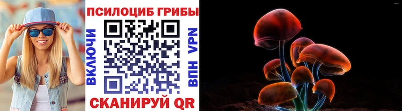 нарко площадка формула  Пугачёв  Псилоцибиновые грибы GOLDEN TEACHER 